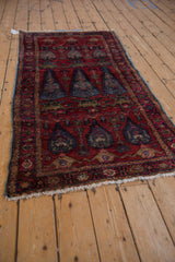 Vintage Lilihan rug corner with raspberry red, denim blue shrub design, white fringe.