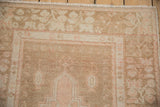 The wide border with blossoms and butterflies in soft, time-softened shades of rose and beige.
