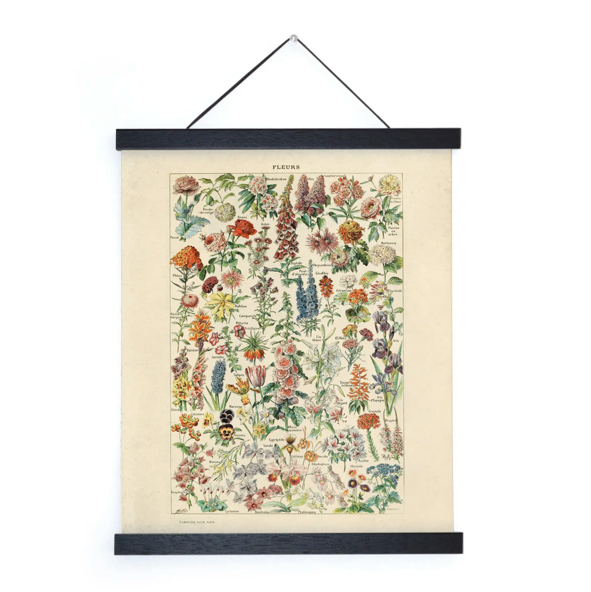 Made in USA Antique Reproduction Pull Down Chart of Flowers – Item #10419