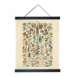 Colorful antique botanical flower chart, 18x24, with black hanging bars.