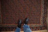 Antique Afshar rug's allover madder red field with navy blue boteh pattern.