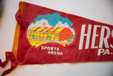 Vibrant Sports Arena graphic on the vintage red felt pennant with age-related cracking.