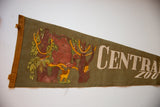Vintage Central Park Zoo felt flag: olive felt, tan binding, monkey graphic, visible tear.