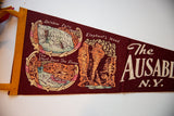 Detailed graphics of Rainbow Falls and Elephant's Head on a vintage maroon felt pennant.