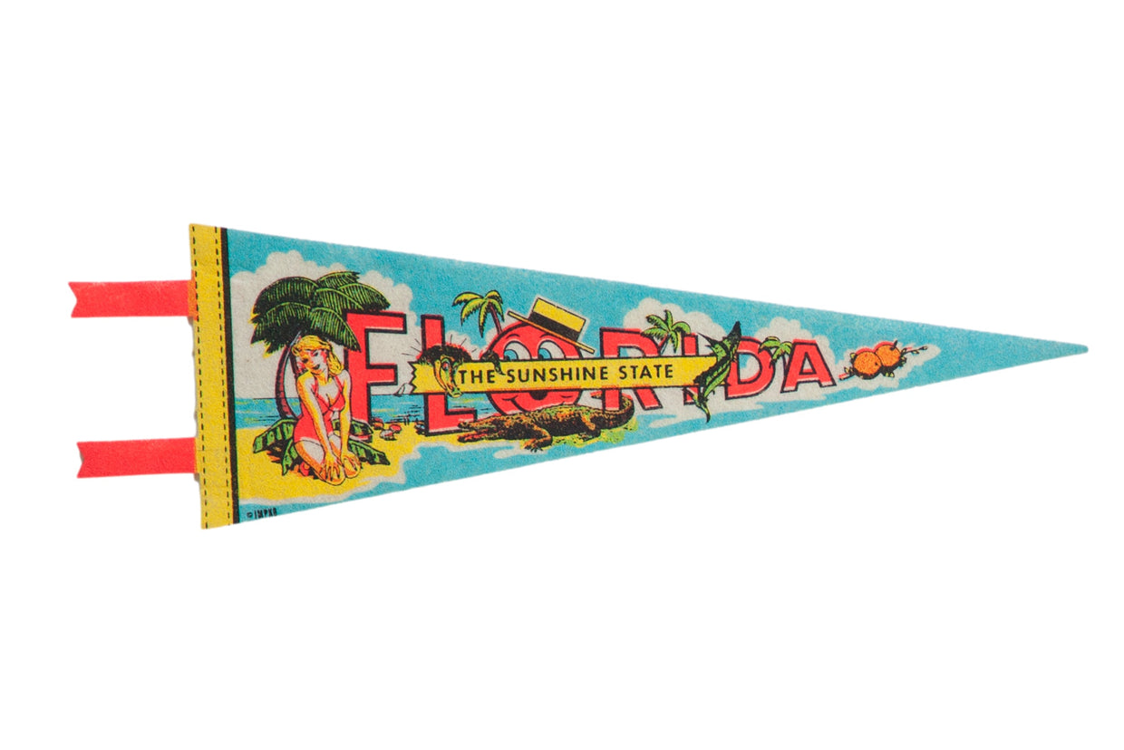 Vintage Florida Felt Flag // ONH Item 10535