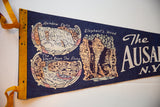 Close-up of the vintage illustrations on the Ausable Chasm felt pennant, showing local landmarks.