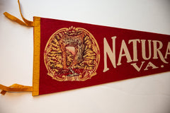 Vintage Natural Bridge VA Felt Flag // ONH Item 10547 Image 1