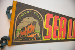 Vintage Sea Lion Caves Oregon Coast Felt Flag // ONH Item 10562 Image 1