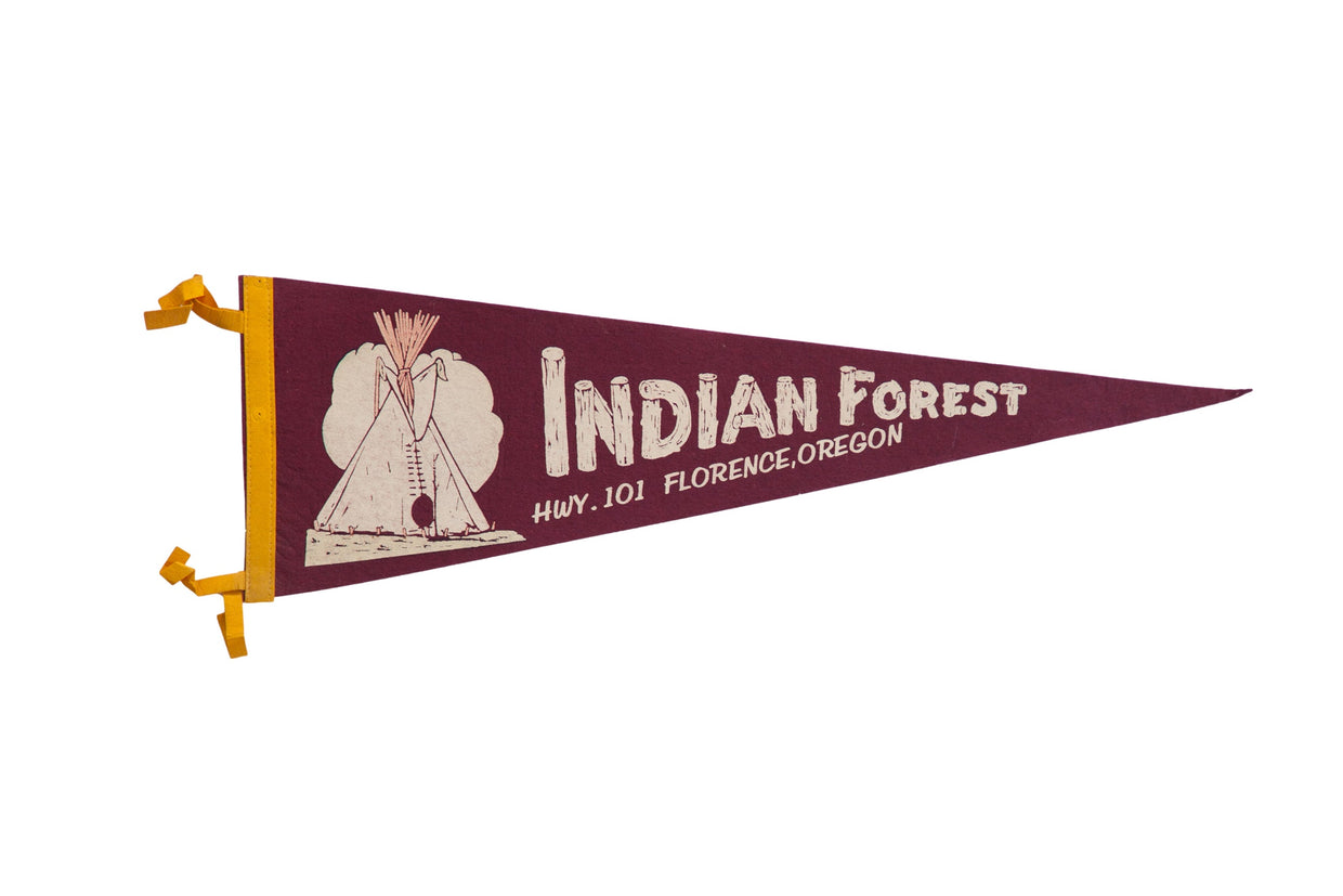Vintage Indian Forest Highway 101 Florence Oregon // ONH Item 10564