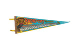 1970s vintage Radio City Music Hall NYC felt flag with vibrant ballerinas and theater scene, 8