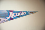 Vintage felt flag's pointed tip, featuring Bar Harbor Maine text on light blue.