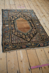 Corner of a Vintage Hamadan rug showcasing navy blue border with vine and crab elements.