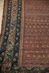 Vintage Hamadan rug detail: navy blue border, dusty raspberry red field with boteh motifs.