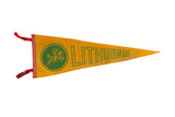 Vintage Lithuania felt flag, yellow and green with knight crest, red tassels, 8x24 inches.