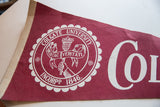 Vintage Colgate University felt flag with white university seal and beige stitched border.
