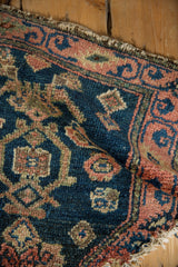 Textured pile and scrolled vines within the grapefruit red border of an antique Persian collector rug.