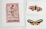 Watercolor art print of a pink geometric rug design, shown with two moth prints.