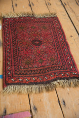 Vintage Afghan sampler mat: fringed corner, dark side cord, and meandering vine border.