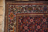 Intricate samovar turtle and palmette border on a vintage Malayer rug, with visible foundation and tattered fringe.