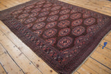 Checkered border and gul medallions in chocolate brown, copper, and navy on vintage Turkmen rug.
