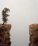 Joe Farrell photograph capturing a tree on a misty Grand Canyon cliff, 16x20.