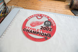 Vintage Detroit Red Wings circular felt flag shown flat on a measuring surface.