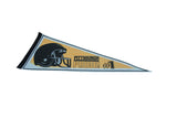 The black football helmet graphic and 'Pittsburgh Pride #1' text on the felt pennant.
