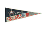 Vintage Lansing Lugnuts Go Nuts felt pennant with red and black graphics on a cream background.