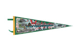 Vintage Washington D.C. felt flag pennant with landmark illustrations in green, red, and white.