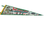 Vintage green felt Washington D.C. pennant with illustrations of the Capitol and White House.