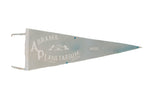 Vintage Abrams Planetarium felt pennant, light gray with white text, MSU, and planetarium graphic.