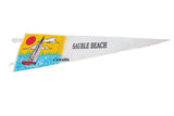 Vintage Sauble Beach felt pennant featuring a sailboat graphic with aged felt texture.