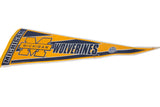 Angled side view of the vintage Michigan Wolverines felt pennant showing its taper and curl.
