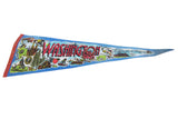 Vintage 1970s Washington felt pennant, with red lettering and diverse iconic illustrations.