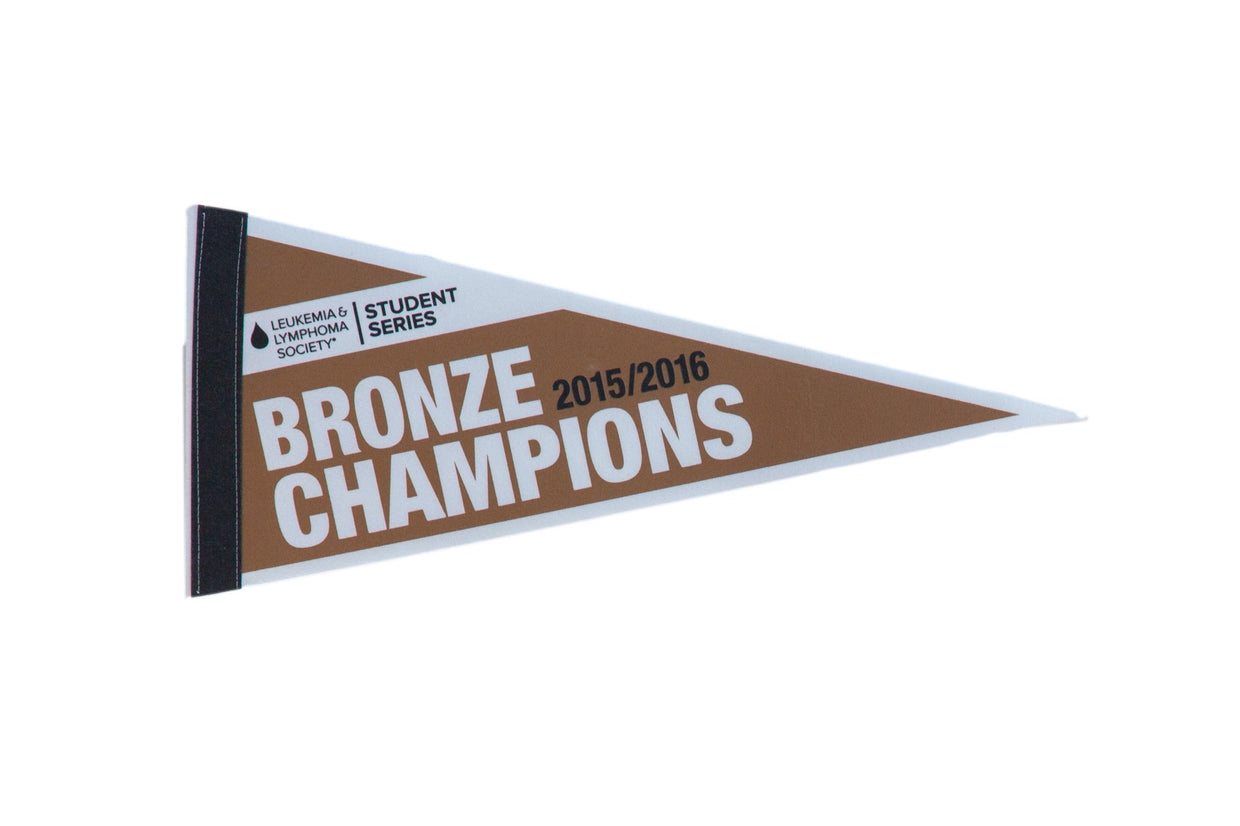 Bronze Champions Felt Flag Pennant // ONH Item 11294