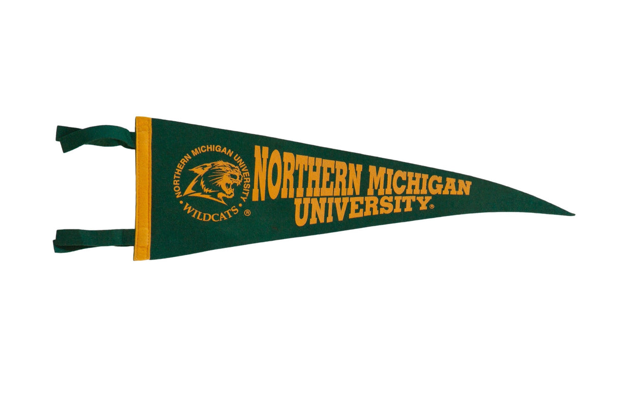 Northern Michigan University Felt Flag Pennant // ONH Item 11295