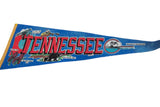 Blue felt Tennessee pennant detail with red 'TEN', mockingbird, and iris flowers.