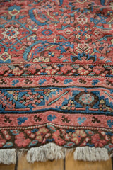 Angled view of the floral borders and knotted ivory fringe on an antique Bakshaish rug.