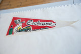 Vintage Polar Bear Express pennant laid flat to show its full 24-inch length.
