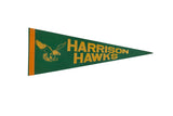 Vintage Harrison Hawks felt flag pennant in green and gold with a hawk graphic.