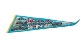 Colorful retro illustrations of monuments on a vintage Washington D.C. felt pennant.
