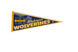 Michigan Wolverines felt flag pennant in blue and yellow with team logo and state outline.