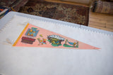 Vintage pink felt Berenstain Bears pennant showing Bear Country text and lively character scenes.