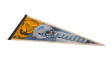 Roaring golden lion head graphic on vintage Detroit Lions pennant.