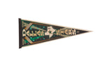 Dallas Stars felt pennant with cream, dark green, teal, and brown graphics, 12x29.