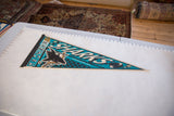 Vintage San Jose Sharks felt pennant laid flat against a ruler to demonstrate its scale.