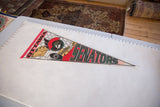 Vintage Ottawa Senators pennant shown full length on a measuring board for scale.