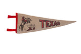 Vintage Texas felt pennant, bucking cowboy and state map with red accents.