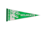Vintage Dunckel Wildcats felt pennant in green and white with a roaring wildcat mascot.