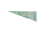Reverse side of the Wildcats pennant with green handwritten birthday notes.